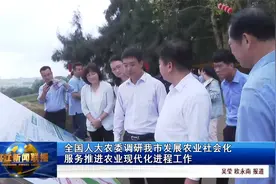 全国人大农委调研我市发展农业社会化服务推进农业现代化进程工作视频封面