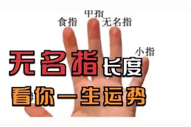 无名指的长度看你一生是否大富大贵？无名指在手相学中的含义详解