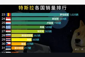 特斯拉在什么地方最受欢迎？看特斯拉在各国销量排行视频封面