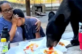 墨西哥一家人野餐黑熊上桌，近距离看黑熊干饭是什么心情？惊恐！视频封面