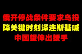 俄开停战条件，要求乌投降！关键时刻泽连斯基喊中国：望伸出援手视频封面