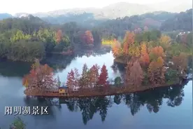 江西上犹：拥抱大湾区 携手向未来视频封面