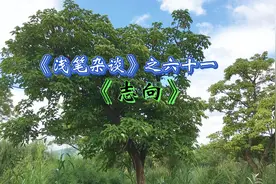 《浅笔杂谈》之六十一《志向》视频封面