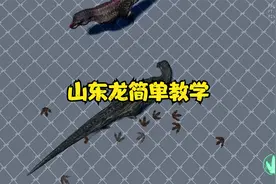 恐龙岛教学之山东龙