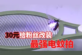 改装最强电蚊拍，电到蟑螂冒白烟，蚊子直接炸飞视频封面
