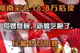 河南彩礼18.8万后续：哥嫂耍赖，新娘气跑了，民警怒怼哥视频封面