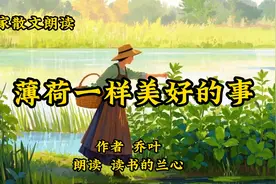 经典散文朗诵《薄荷一样美好的事》，作者乔叶视频封面