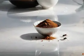 灭蚂蚁最有效的土方法，推荐三种有效方法，消灭蚂蚁