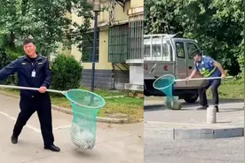 安徽亳州公共区域发现未拴绳犬只直接抓走？当地城管部门回应视频封面