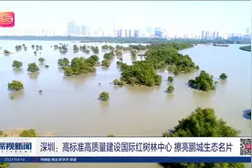 深圳：高标准高质量建设国际红树林中心 擦亮鹏城生态名片视频封面
