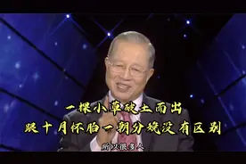 曾仕强：你把自己想象成一棵小草，才能体会那种万事开头难的艰辛