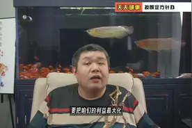 天硬事3753下 台胞落户大陆方案即将推出，芯片人才大战或将开始视频封面