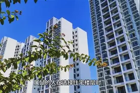 属鼠一生最旺楼层视频封面