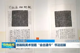 《文化中国行》到画院美术馆看“会古通今”书法巡展视频封面