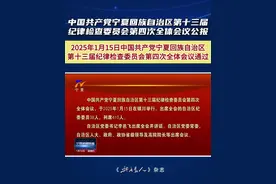 中共宁夏回族自治区第十三届纪律检查委员会第四次全体会议公报视频封面