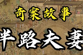 奇案故事：半路夫妻视频封面