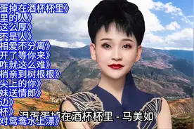 刘妍/马美如/王二妮/郭涛陕北情歌精选13首联唱视频封面