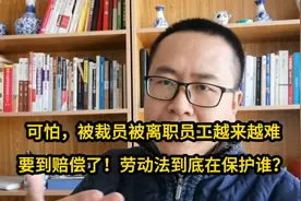 被公司裁员辞退拿到赔偿越来越难了，劳动法到底在保护谁？视频封面