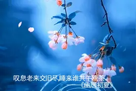 10句陆游的温柔诗词，唯美至极，一读便醉视频封面