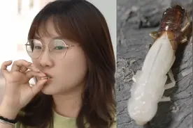 实探“全球最大蟑螂基地”，记者生吃活蟑螂：核桃味、双皮奶口感