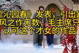 《沁园春》发表，引出跟风之作无数，毛主席只认可这个才女的作品视频封面