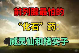 前列腺最怕的“化石”药：威灵仙和楮实子视频封面