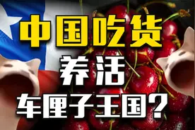 酷爱车厘子的中国吃货，养活了整个智利？视频封面