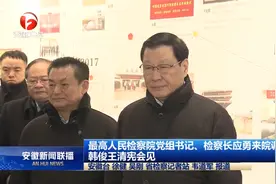 最高人民检察院党组书记、检察长应勇来皖调研视频封面