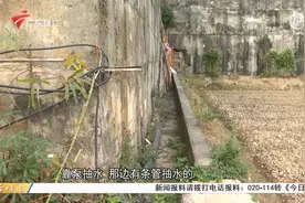 百亩农田灌溉受阻农民无法种地，相关部门：立刻整改视频封面