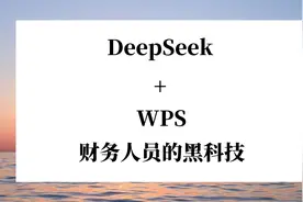 DeepSeek接入WPS,财务人员的黑科技！视频封面