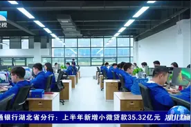 交通银行湖北省分行：上半年新增小微贷款35.32亿元视频封面