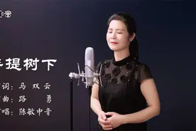 最美女中音《菩提树下》，遇见皆是缘