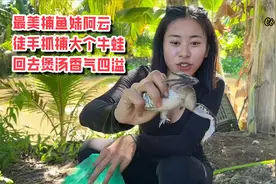 最美捕鱼妹阿云，徒手抓捕大个牛蛙，回去煲汤香气四溢视频封面