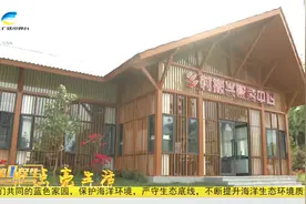 三亚抱前村：做大“生态+旅游”文章 助推农旅融合发展提速快进视频封面
