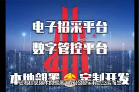 电子招投标平台的实用性视频封面