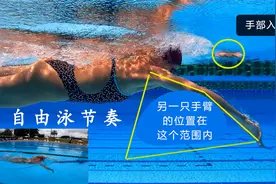 为什么你的自由泳不流畅，学会释放你的自然节奏视频封面