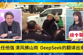 他强任他强清风拂山岗!DeepSeek的翻译来了!(1)视频封面