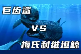 当巨齿鲨对战梅氏利维坦鲸，到底谁才是最终的史前深海霸主？视频封面