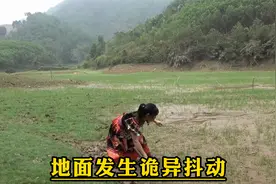 女人在野外发现地面突然诡异抖动！视频封面