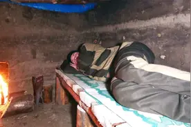 独自进入森林，挖建一个温暖而秘密的地下防空洞，舒舒服服睡大觉视频封面