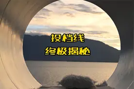 投档线终极揭秘🔍｜压线进档=稳录取？别被数字骗了！视频封面