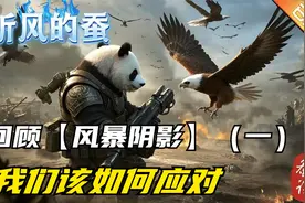 听风的蚕：回顾【风暴阴影】后、我们要怎么应对（一）视频封面