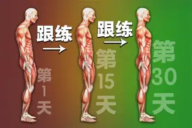 每天练一遍，30天彻底改变不良体态