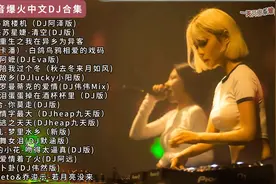 抖音歌曲最火的歌 2025dj歌曲 抖音车载dj 抖音热歌dj串烧