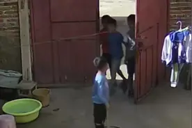 6岁男孩抓起2米长蛇当皮鞭乱甩，孩子爸：奶奶很生气，后来追着打视频封面