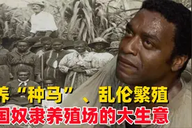 圈养“种马”、乱伦繁殖，美国奴隶养殖场的大生意视频封面