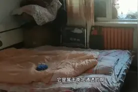 房子今天终于卖了，花285万在河北秦皇岛买的3楼，卖掉赔多少视频封面