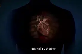 你知道你的身体究竟有多值钱吗？结果出乎你的意料视频封面