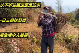 中国小伙不听劝阻定居尼泊尔，一日三餐挖野菜，婚后生活令人羡慕视频封面