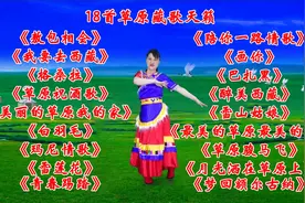 18首草原藏歌天籁《敖包相会》《玛尼情歌》《美丽的草原我的家》